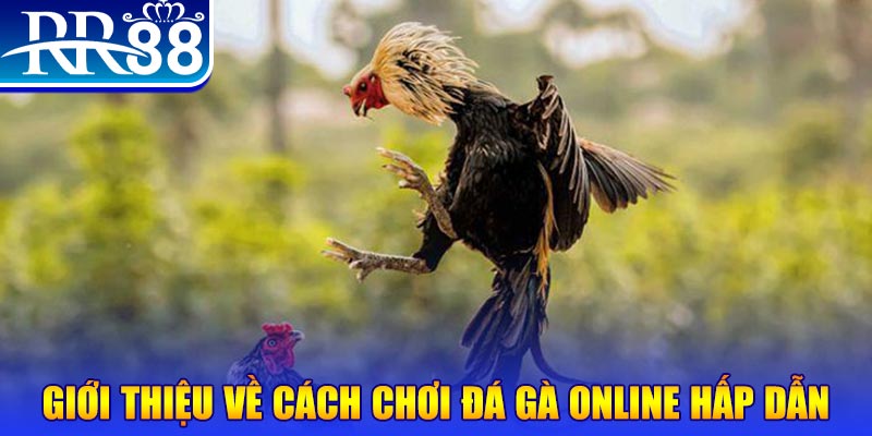 casio 880 nổ hũ 2 mặt là gì